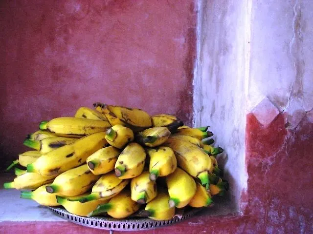 Riad Les Inseparables Marrakesh