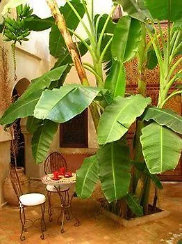 Riad Les Inseparables Marrakesh
