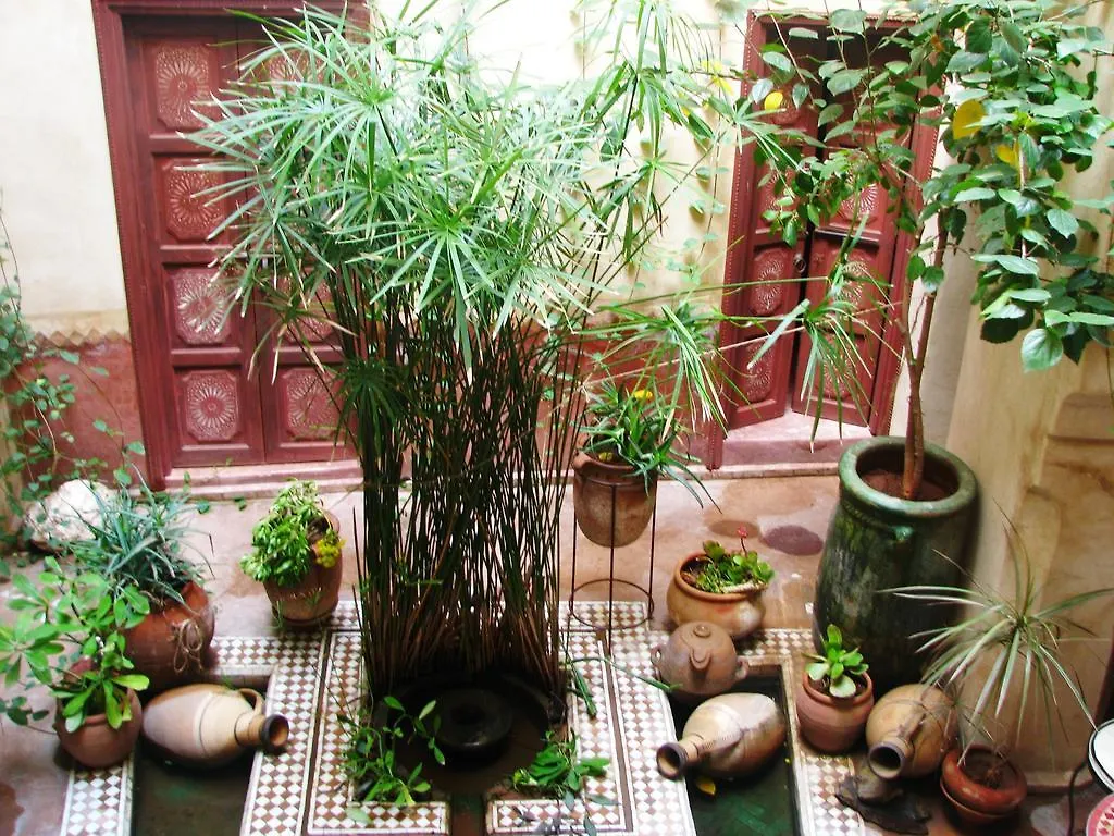 Riad Les Inseparables Marrakesh